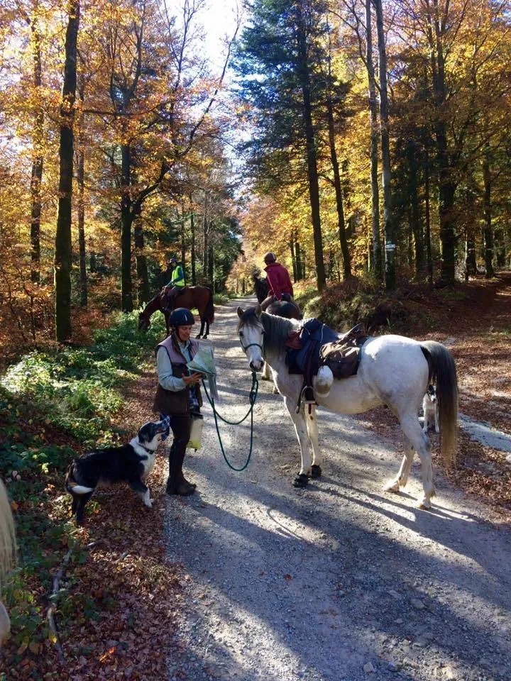 ecole-equitation-somail (2)