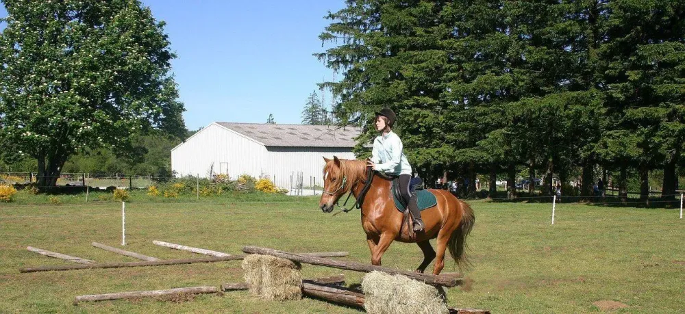 ecole-equitation-somail (4)