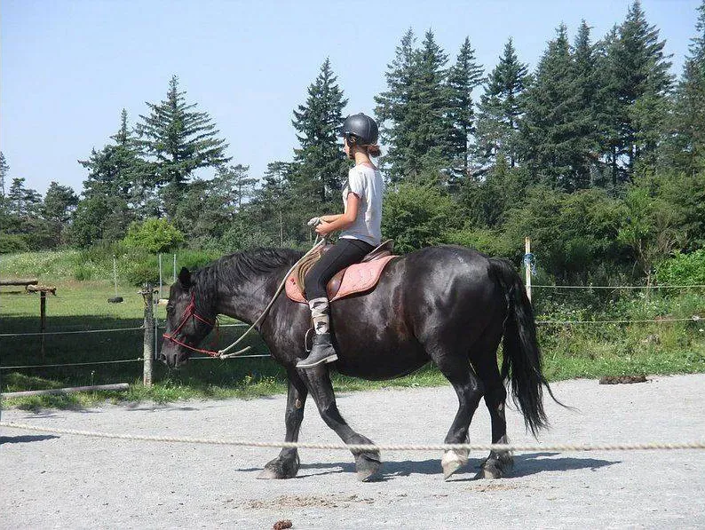 ecole-equitation-somail (5)