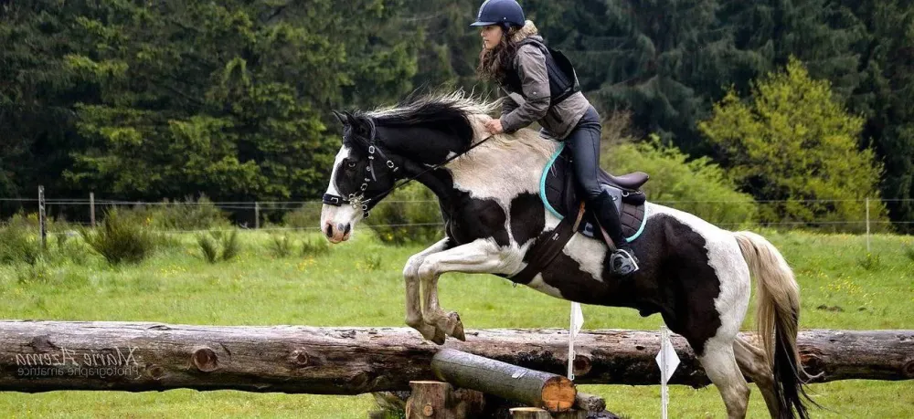 ecole-equitation-somail (6)