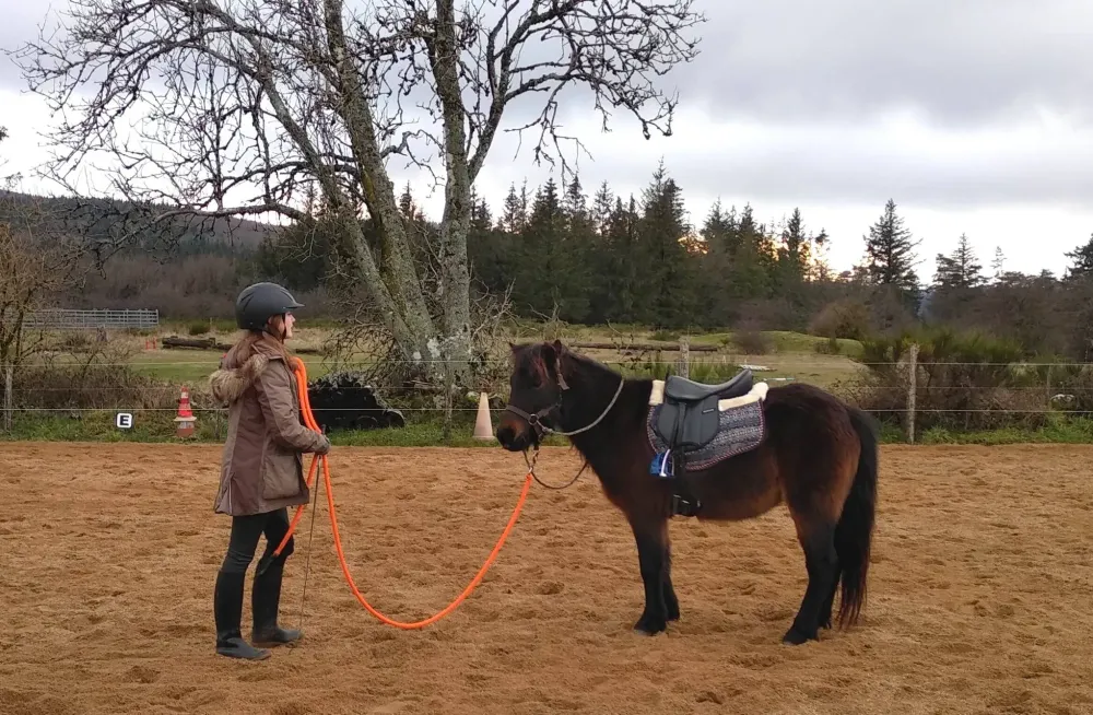 ecole-equitation-somail (16)