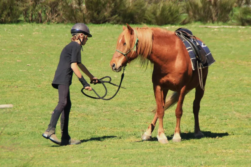 ecole-equitation-somail (18)