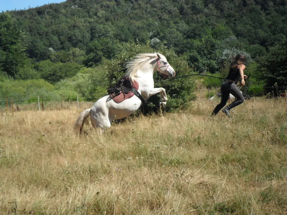 ecole-equitation-somail (19)