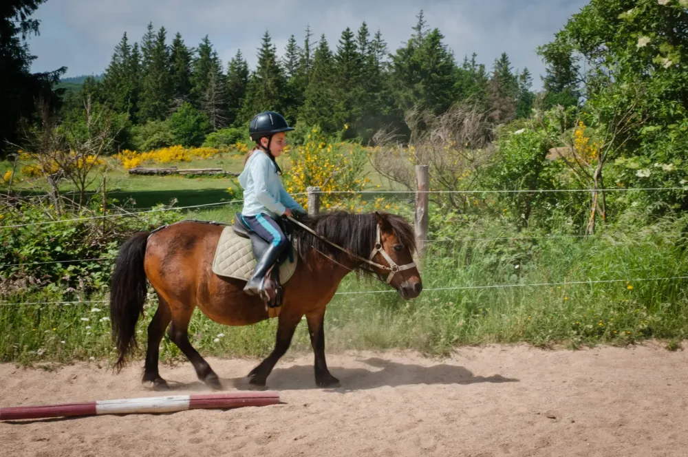 ecole-equitation-somail (34)