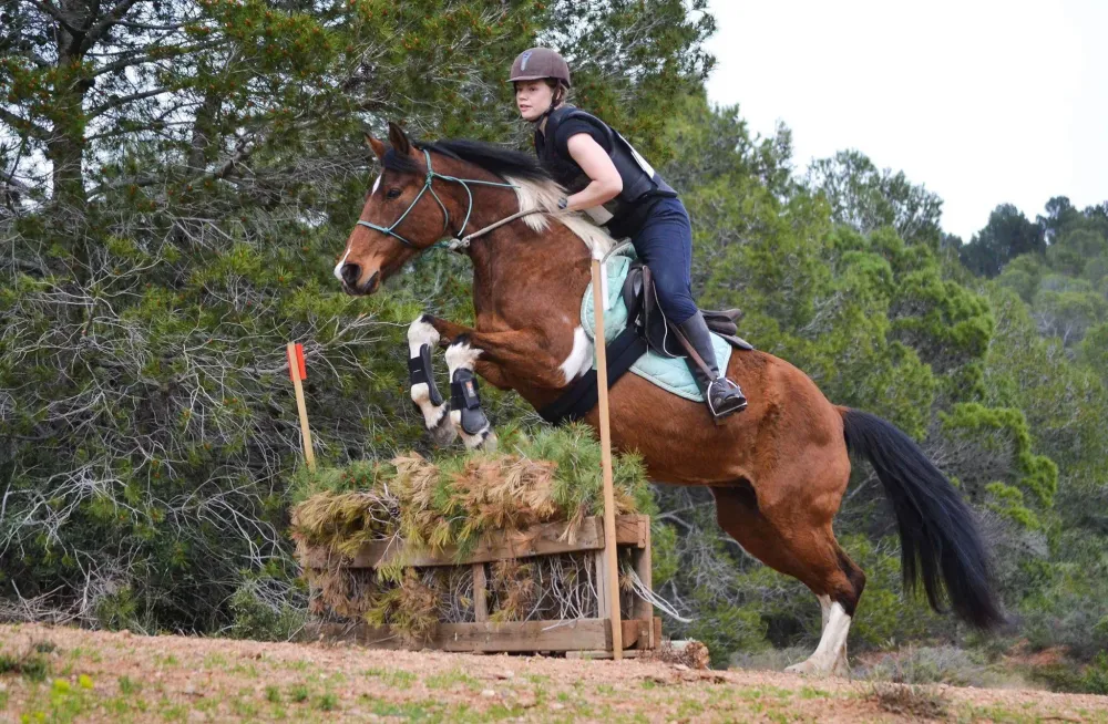 ecole-equitation-somail (28)