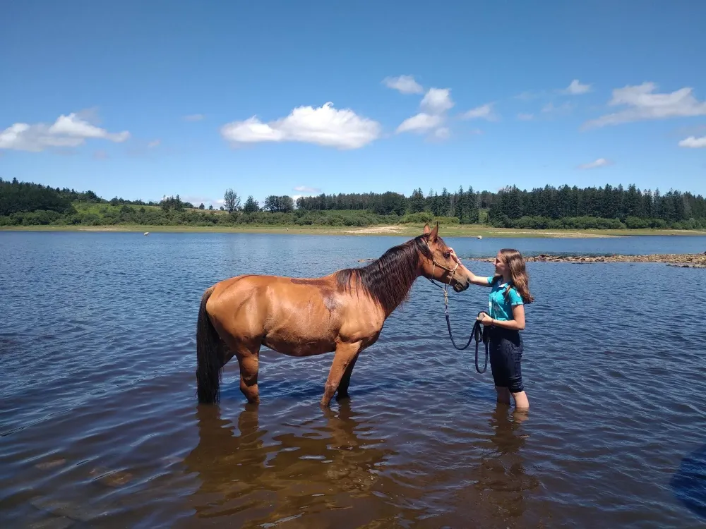 ecole-equitation-somail (30)