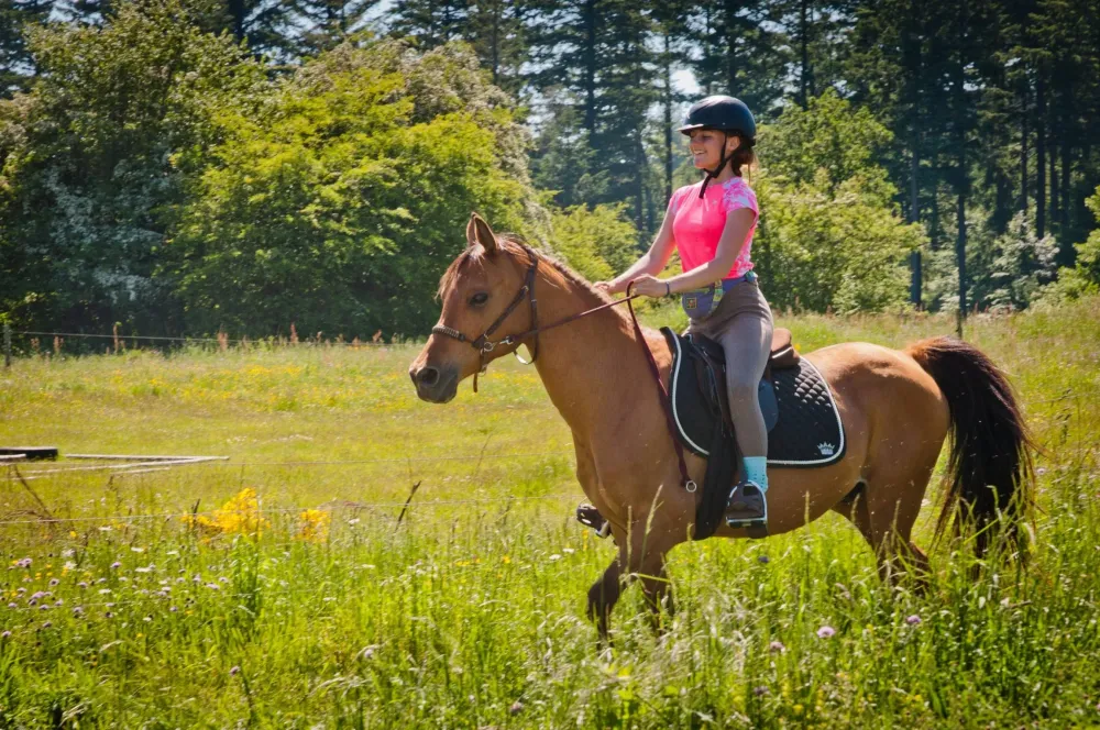 ecole-equitation-somail (48)