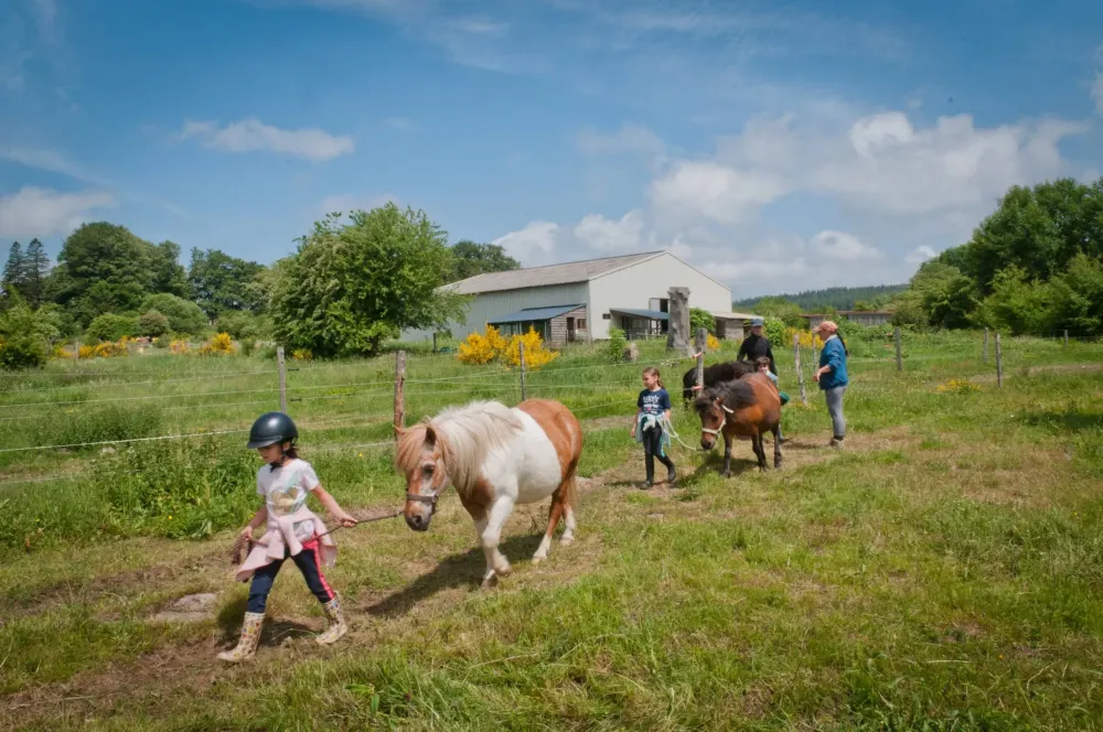 ecole-equitation-somail (35)