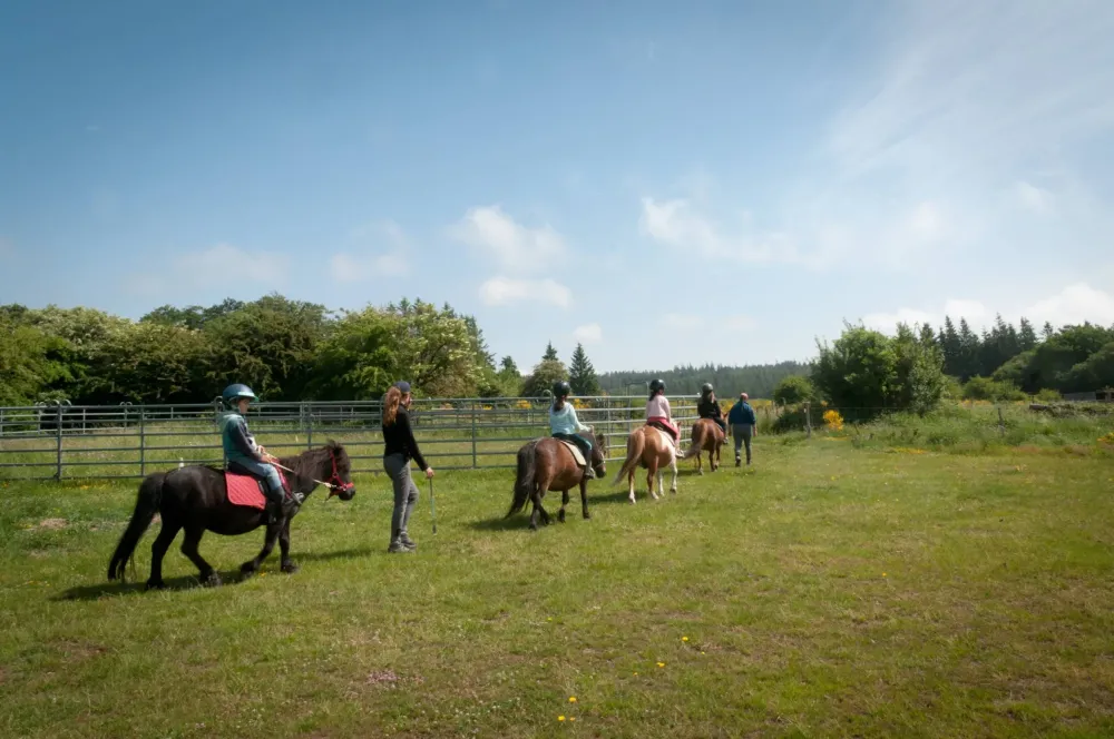 ecole-equitation-somail (37)