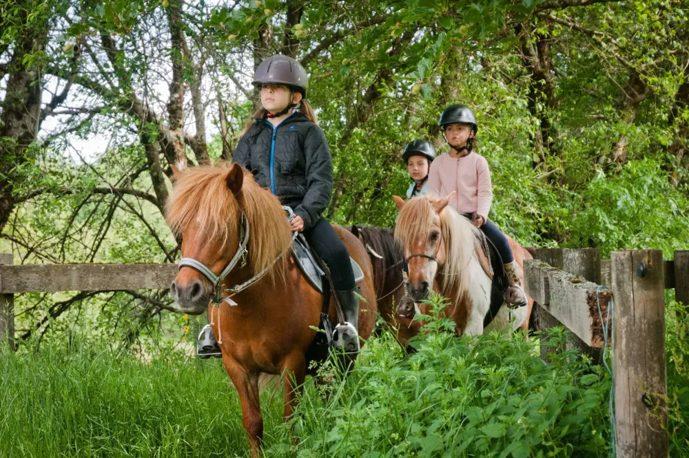 ecole-equitation-somail (39)