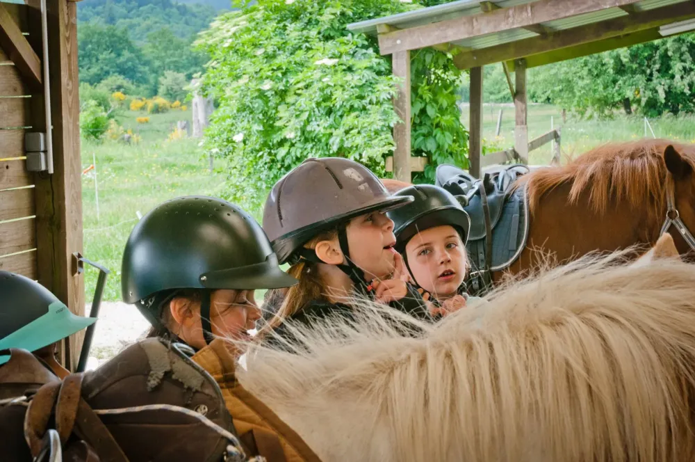 ecole-equitation-somail (41)
