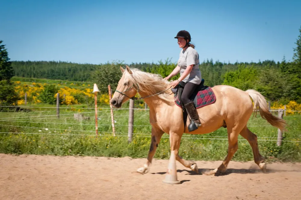 ecole-equitation-somail (62)