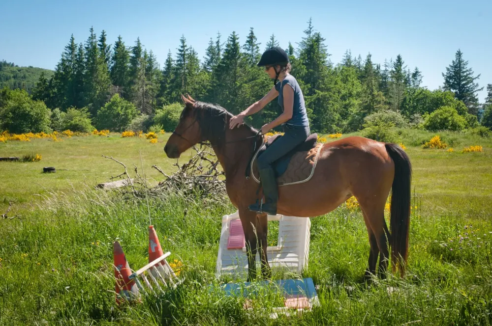 ecole-equitation-somail (49)