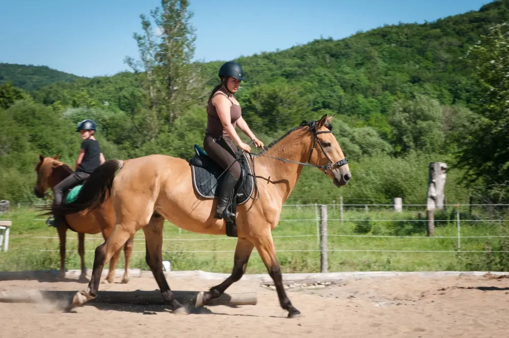 ecole-equitation-somail (51)
