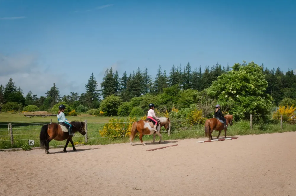 ecole-equitation-somail (53)