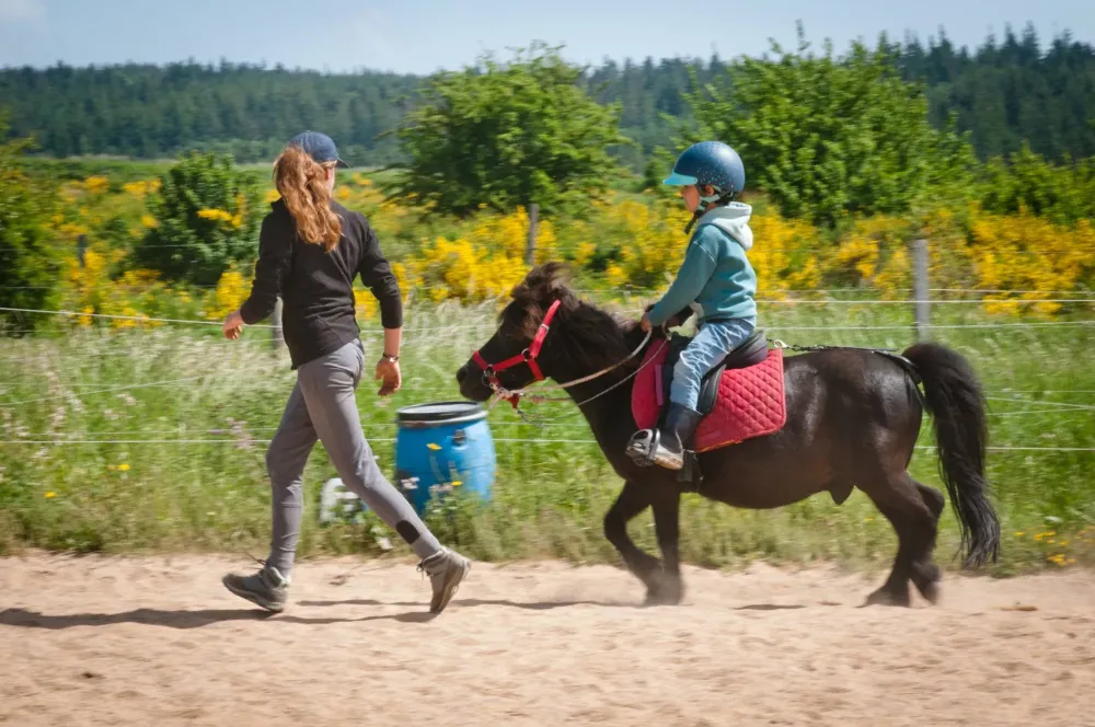 ecole-equitation-somail (54)