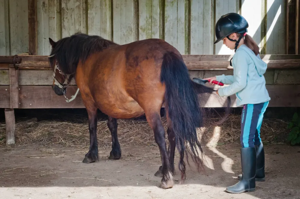 ecole-equitation-somail (56)