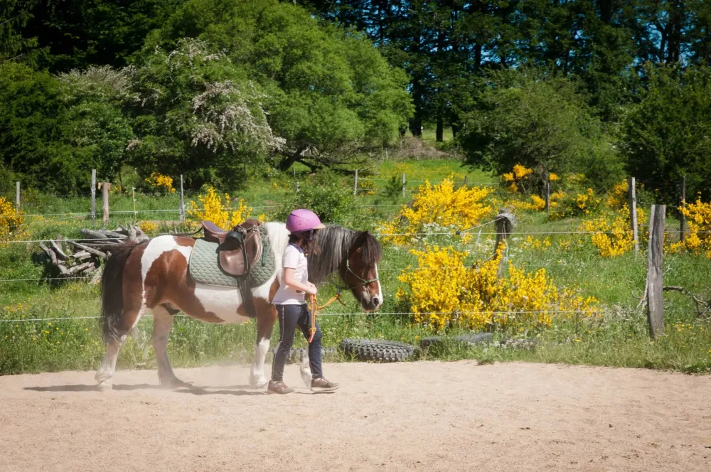 ecole-equitation-somail (59)
