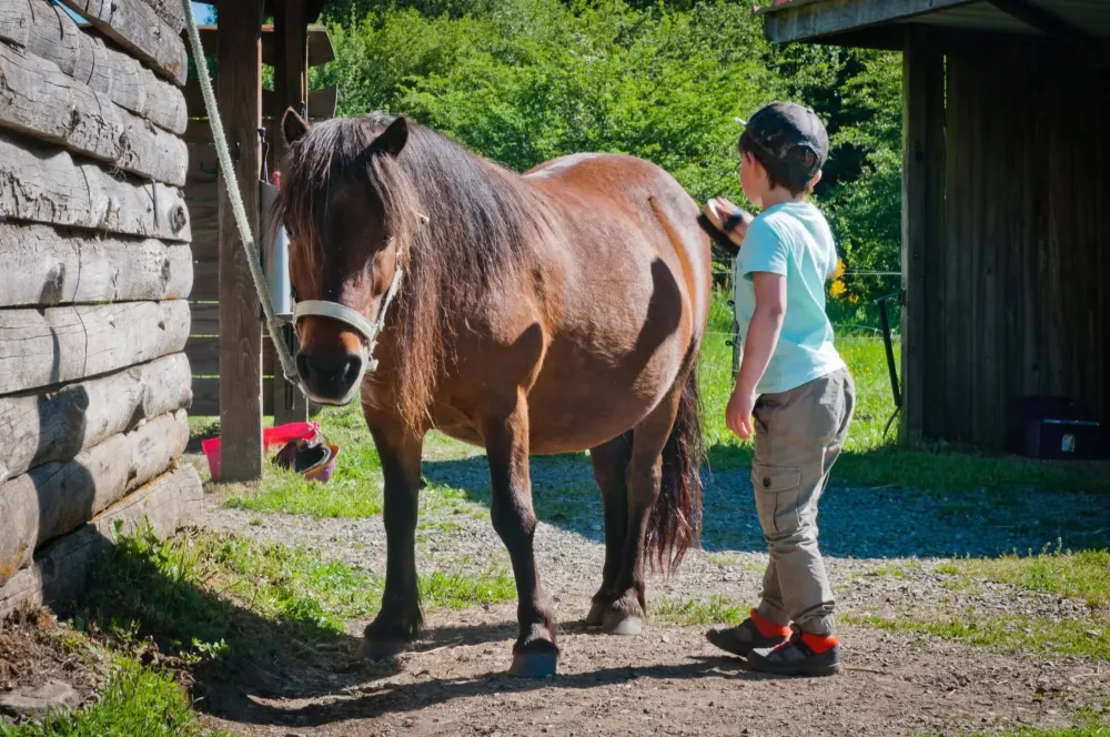 ecole-equitation-somail (76)