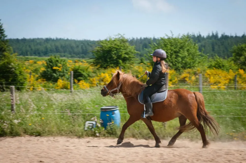ecole-equitation-somail (70)