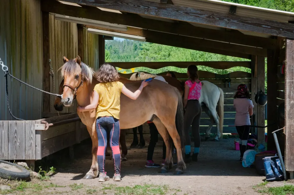 ecole-equitation-somail (73)